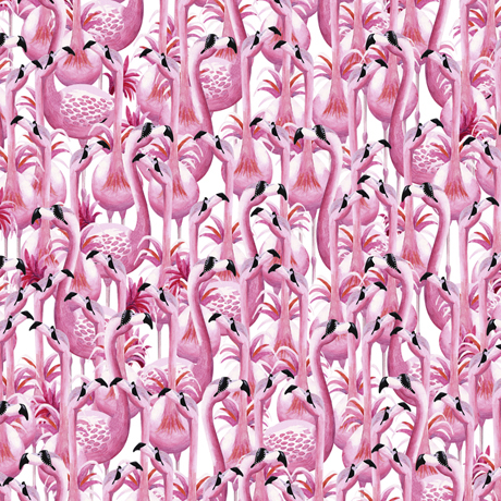 MINKY PRINTS             